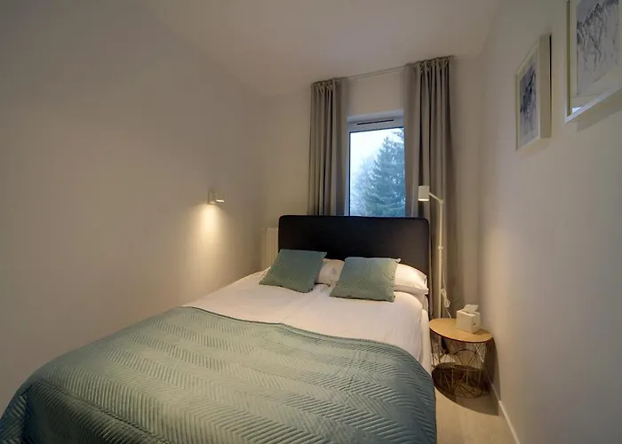Apartament Zrodlana Ski 300M